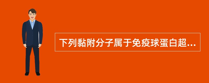 下列黏附分子属于免疫球蛋白超家族成员的有