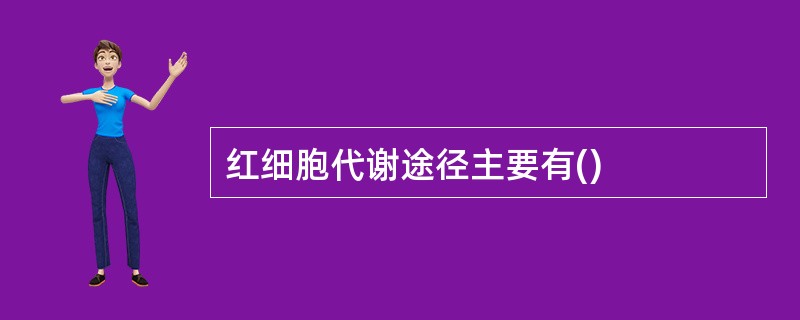 红细胞代谢途径主要有()