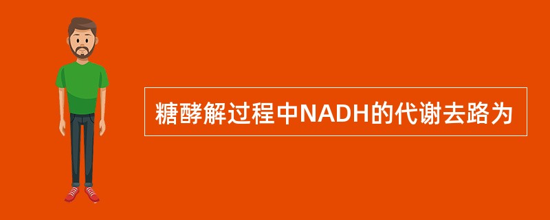 糖酵解过程中NADH的代谢去路为