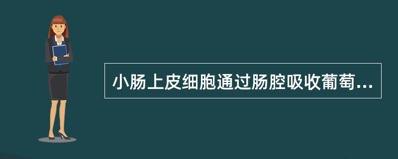 小肠上皮细胞通过肠腔吸收葡萄糖的主要方式是