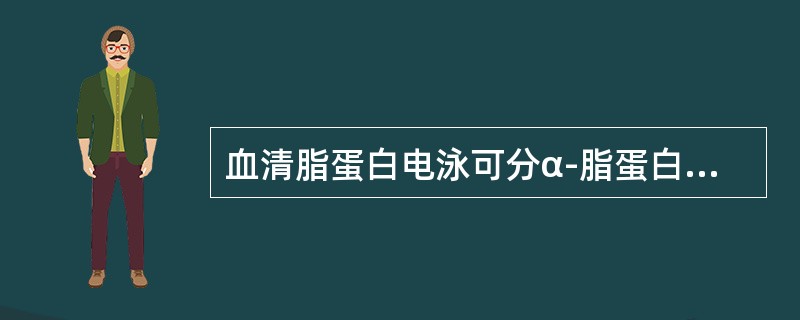 血清脂蛋白电泳可分α-脂蛋白、前β-脂蛋白、β-脂蛋白及CM四个条带，α-脂蛋白中所含的载脂蛋白是