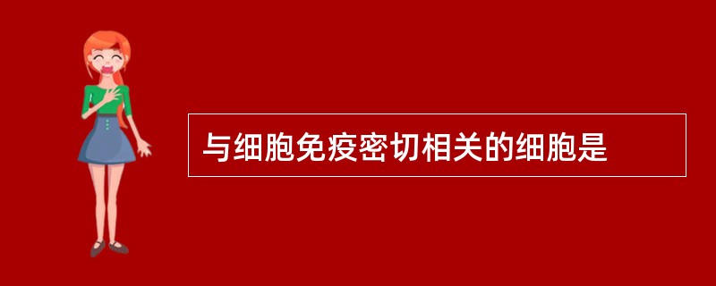 与细胞免疫密切相关的细胞是