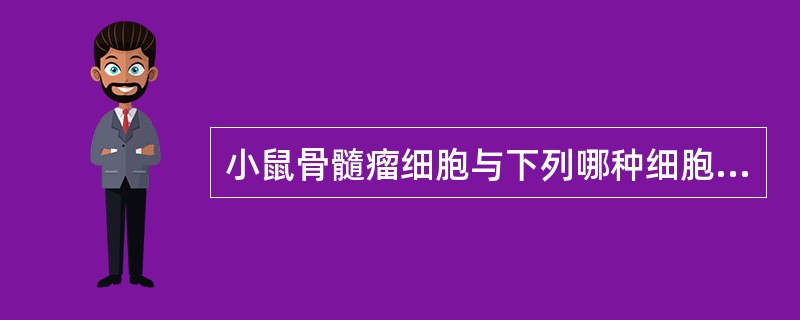 小鼠骨髓瘤细胞与下列哪种细胞融合，得到杂交瘤细胞，经培养可产生单克隆抗体