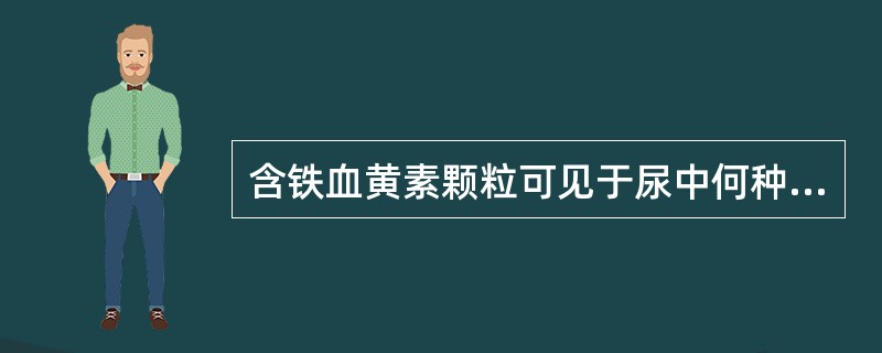 含铁血黄素颗粒可见于尿中何种细胞