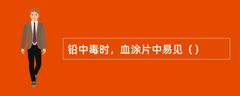 铅中毒时，血涂片中易见（）
