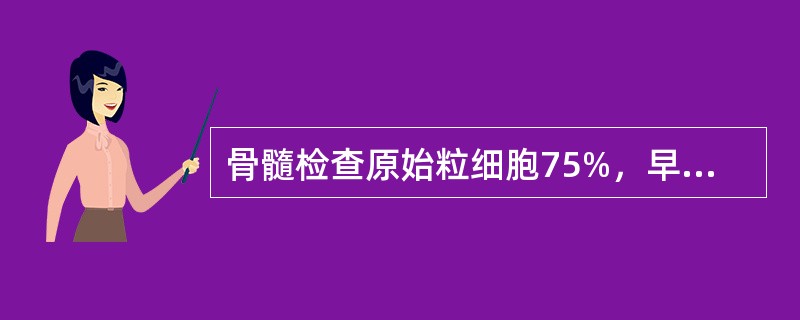 骨髓检查原始粒细胞75%，早幼粒2%，中性杆状核粒细胞3%，中性分叶核粒细胞12%，红细胞系统占8%，最可能的诊断为（）