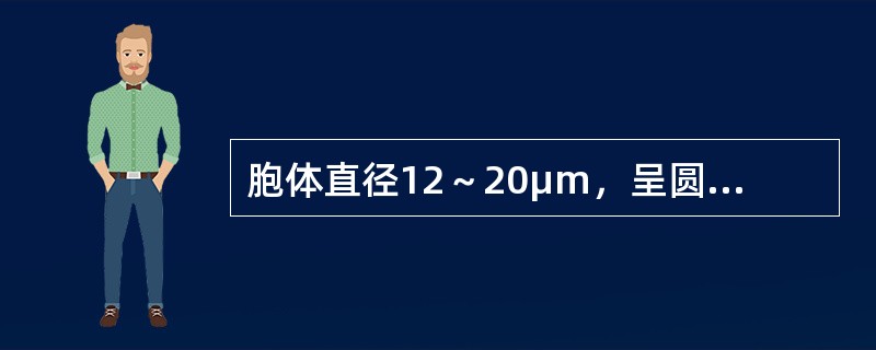 胞体直径12～20μm，呈圆或椭圆形，胞核大，位于中央或偏位，核仁可见或消失，核染色质开始聚集。胞浆量较多，呈淡蓝、蓝或深蓝色。浆内含大小、形态或多少不一的紫红色嗜苯胺蓝颗粒。POX染色阳性。符合哪种