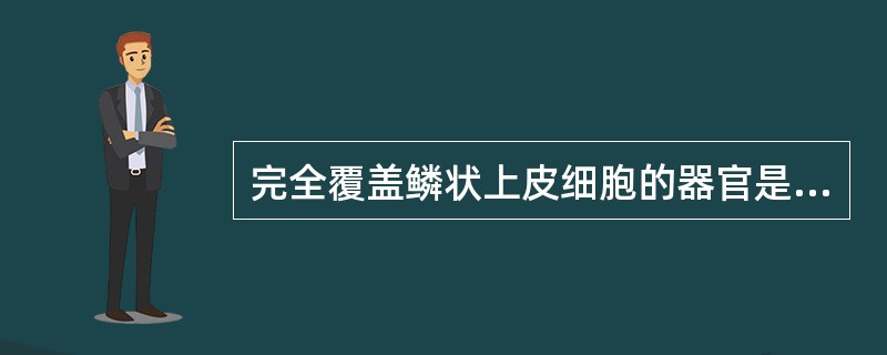 完全覆盖鳞状上皮细胞的器官是（）