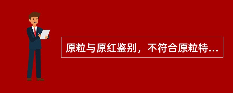 原粒与原红鉴别，不符合原粒特征的是（）