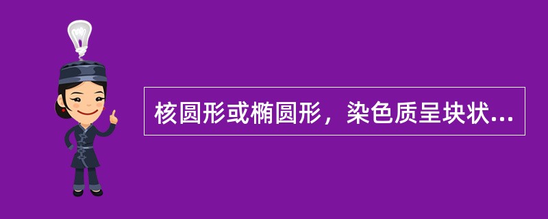 核圆形或椭圆形，染色质呈块状，核仁消失，胞浆嗜多色性，符合以下哪种细胞的特点（）
