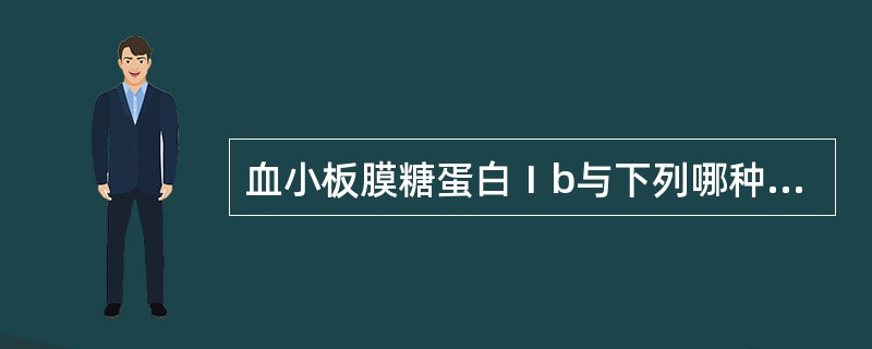 血小板膜糖蛋白Ⅰb与下列哪种血小板功能有关（）