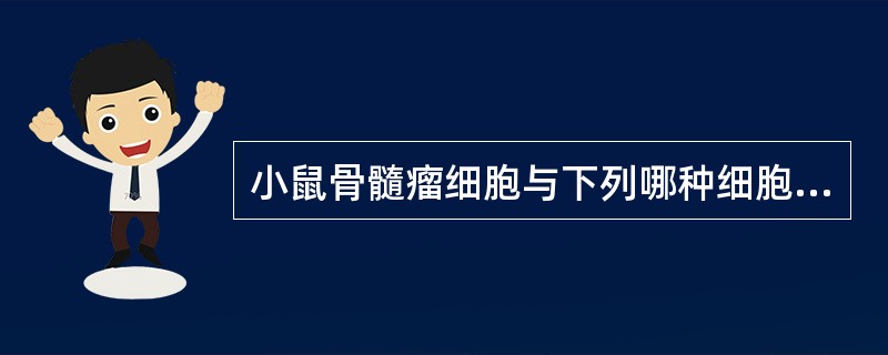 小鼠骨髓瘤细胞与下列哪种细胞融合，得到杂交瘤细胞，经培养可产生单克隆抗体