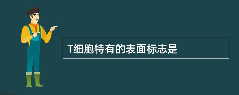 T细胞特有的表面标志是