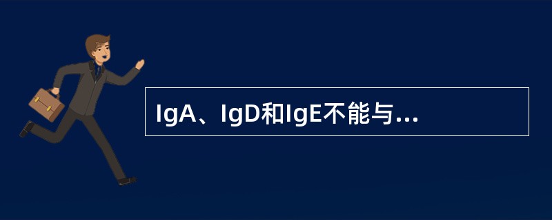 IgA、IgD和IgE不能与C1q结合的原因是