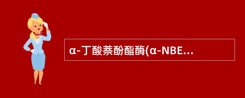 α-丁酸萘酚酯酶(α-NBE)染色可呈阳性的是