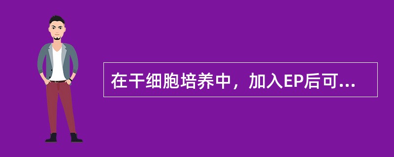 在干细胞培养中，加入EP后可形成下列何种集落（）