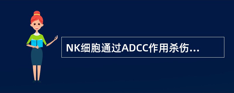 NK细胞通过ADCC作用杀伤靶细胞需要()