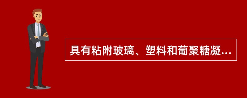 具有粘附玻璃、塑料和葡聚糖凝胶的特性细胞是