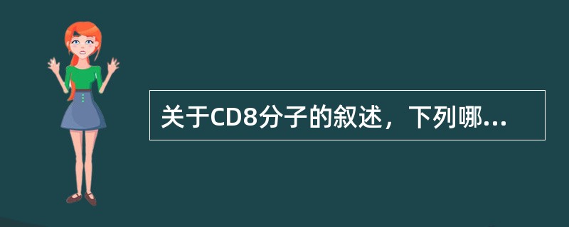 关于CD8分子的叙述，下列哪一项是正确的
