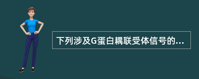 下列涉及G蛋白耦联受体信号的主要途径是()