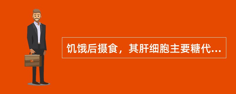 饥饿后摄食，其肝细胞主要糖代谢途径是