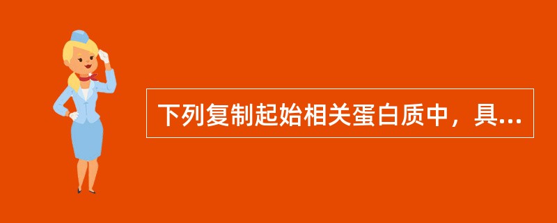 下列复制起始相关蛋白质中，具有合成RNA引物作用的是()