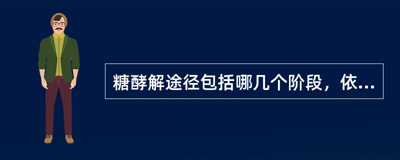 糖酵解途径包括哪几个阶段，依次分别为