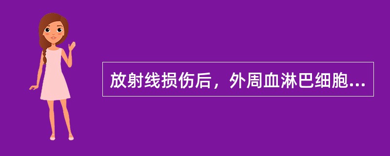 放射线损伤后，外周血淋巴细胞不会出现的是