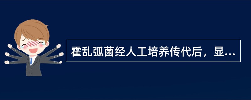 霍乱弧菌经人工培养传代后，显微镜下观察是（）。