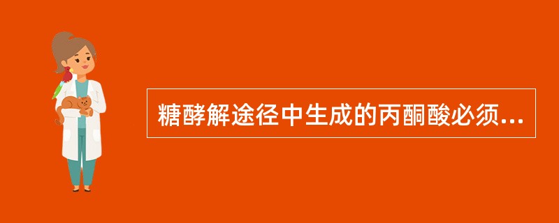 糖酵解途径中生成的丙酮酸必须进入线粒体氧化，因为