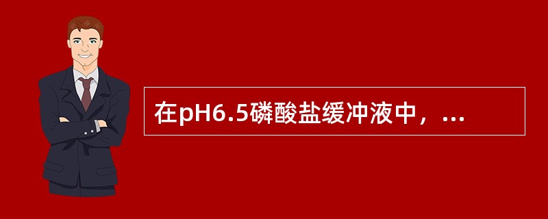 在pH6.5磷酸盐缓冲液中，泳向阳极的血红蛋白为（）