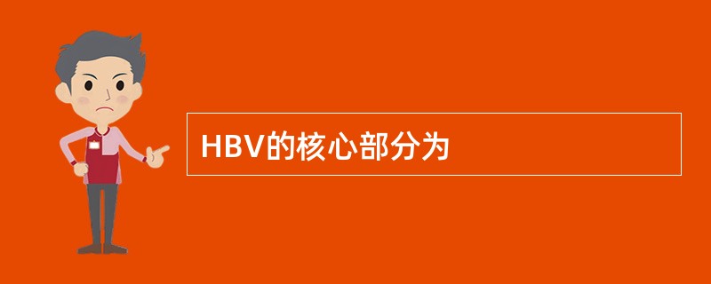 HBV的核心部分为