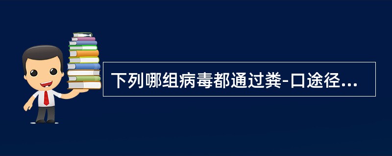 下列哪组病毒都通过粪-口途径传播