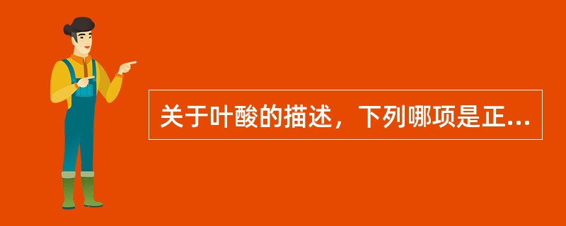 关于叶酸的描述，下列哪项是正确的