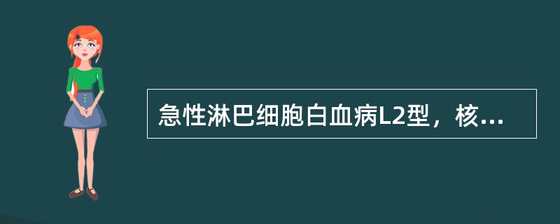 急性淋巴细胞白血病L2型，核仁最重要的特点是