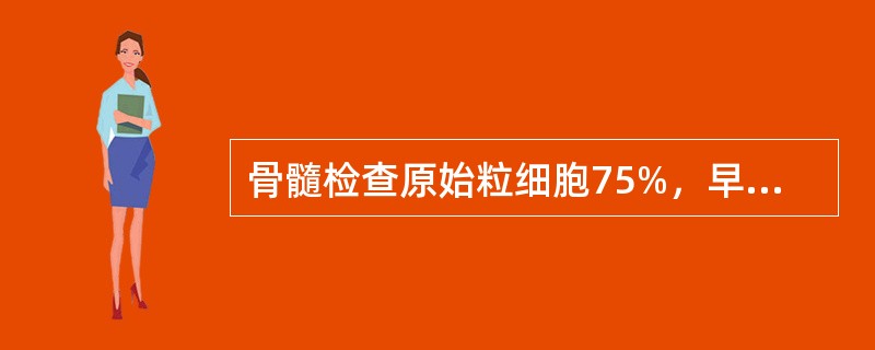 骨髓检查原始粒细胞75%，早幼粒2%，中性杆状核粒细胞3%，中性分叶核粒细胞12%，红细胞系统占8%，最可能的诊断为（）