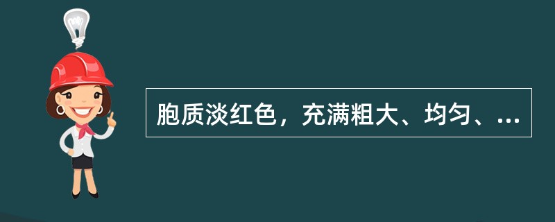 胞质淡红色，充满粗大、均匀、排列紧密的橘红色颗粒，此种细胞是
