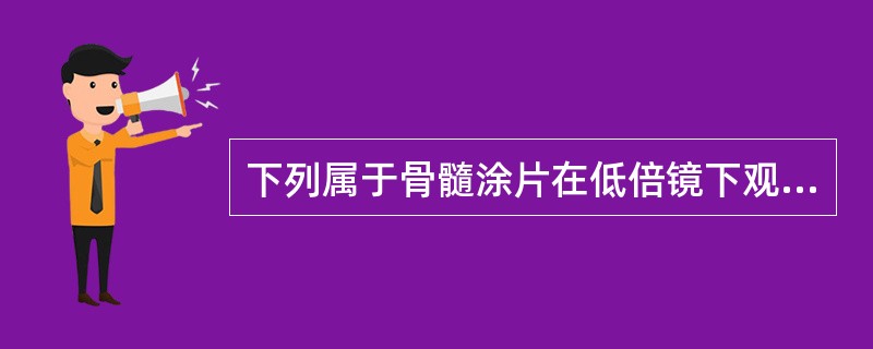 下列属于骨髓涂片在低倍镜下观察的内容有
