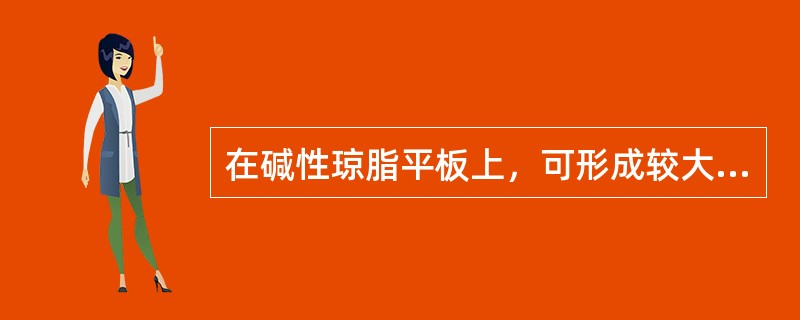 在碱性琼脂平板上，可形成较大、圆形、扁平、无色透明或半透明似水滴状菌落的是