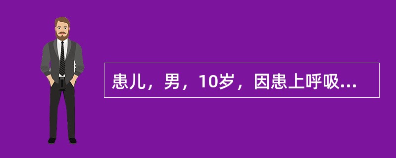 患儿，男，10岁，因患上呼吸道感染，曾服用氯霉素3天。检查结果：贫血，网织红细胞＜0.1％，骨髓有核细胞增生减低，见到巨大原始红细胞，用青霉素治疗后，骨髓象即恢复正常，可能诊断为