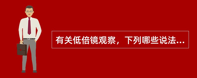 有关低倍镜观察，下列哪些说法是不正确的