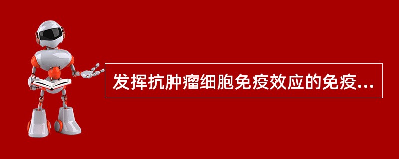 发挥抗肿瘤细胞免疫效应的免疫细胞包括