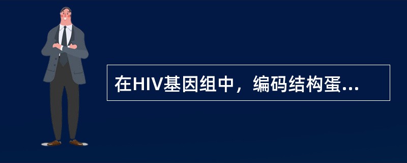 在HIV基因组中，编码结构蛋白的是()