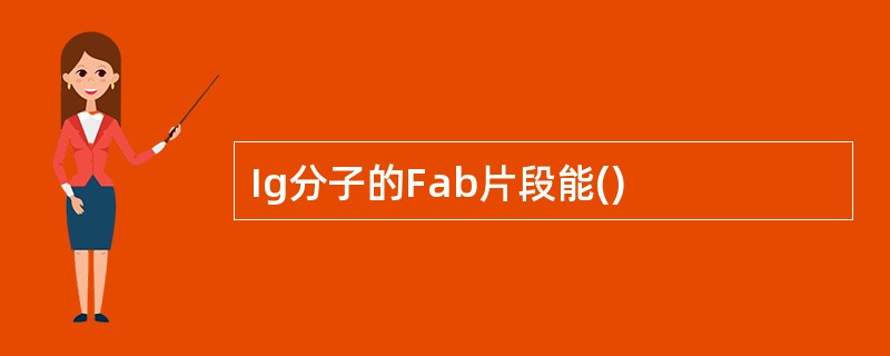 Ig分子的Fab片段能()