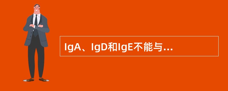 IgA、IgD和IgE不能与C1q结合的原因是()