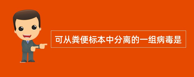 可从粪便标本中分离的一组病毒是