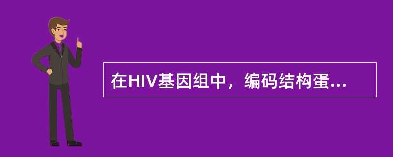 在HIV基因组中，编码结构蛋白的是()