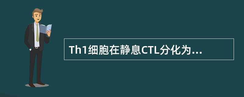 Th1细胞在静息CTL分化为效应CTL中的作用主要是()