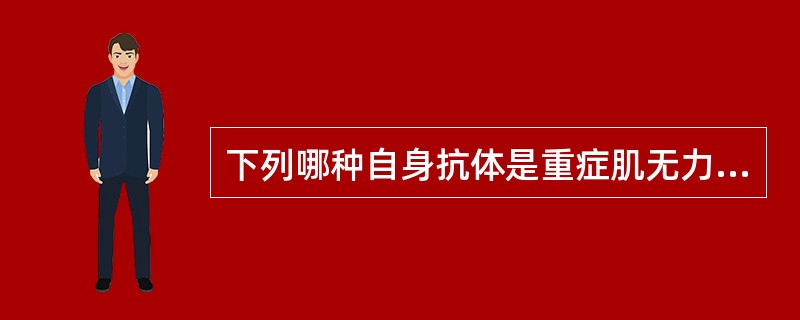 下列哪种自身抗体是重症肌无力(MG)的标志性自身抗体()
