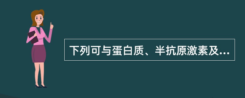 下列可与蛋白质、半抗原激素及核酸等物质结合的标记物是()